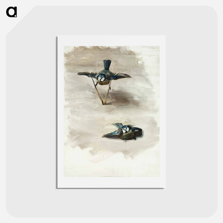 アートポストカード-Studies of a Dead Bird - ジョン シンガー サージェント Postcard.