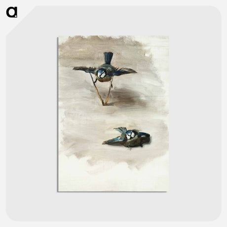 アートポストカード-Studies of a Dead Bird - ジョン シンガー サージェント Postcard.