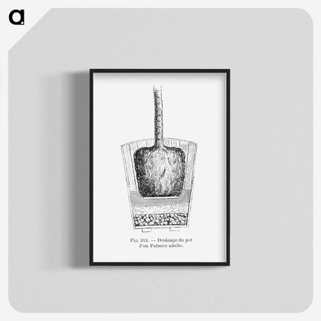 2-49_Les-Palmiers-Histoire-Iconographique_blk-crop