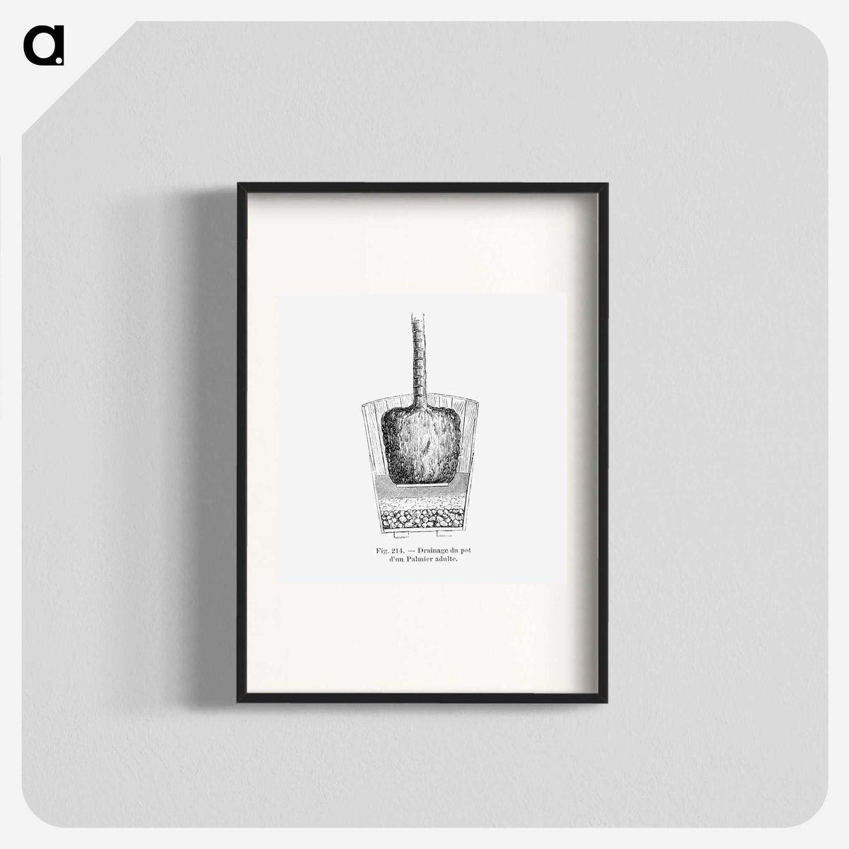 2-49_Les-Palmiers-Histoire-Iconographique_blk