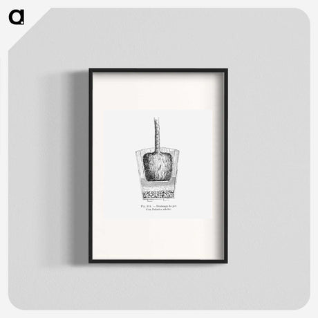 2-49_Les-Palmiers-Histoire-Iconographique_blk