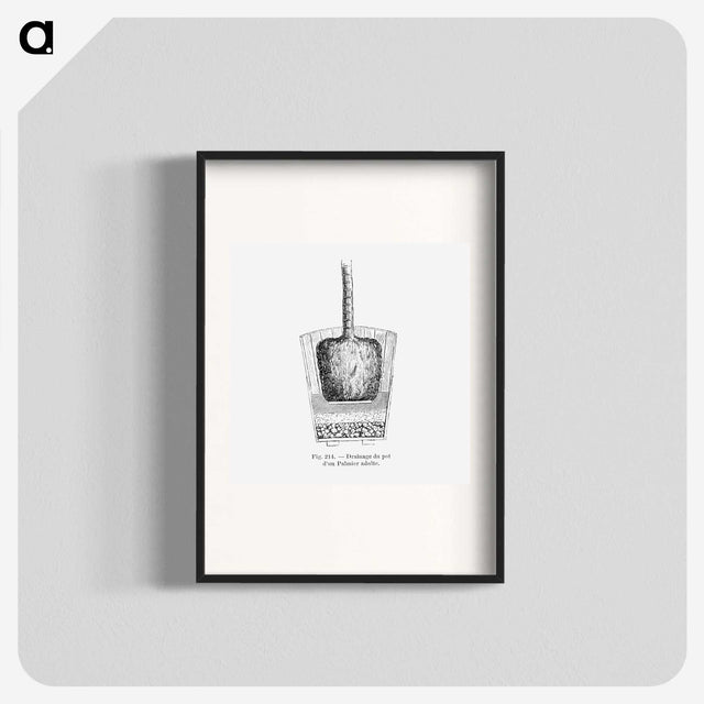 2-49_Les-Palmiers-Histoire-Iconographique_blk