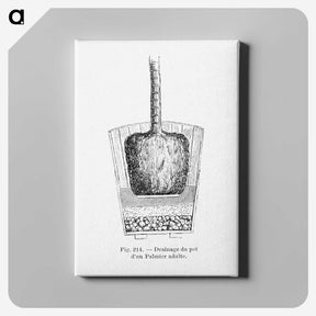 2-49_Les-Palmiers-Histoire-Iconographique_canvas