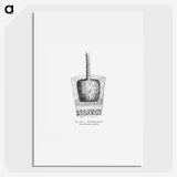 2-49_Les-Palmiers-Histoire-Iconographique_picture