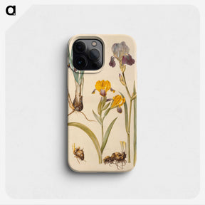 2-49_Maria-Sibylla-Merian_phone