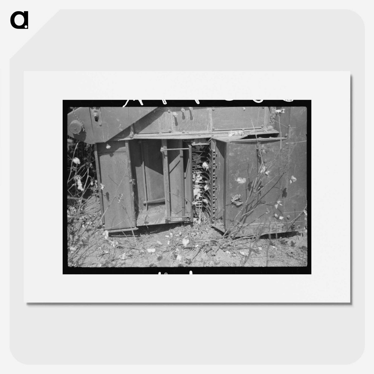 2-49_Marion-Post-Wolcott_picture