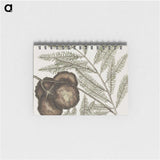 2-49_Mark-Catesby_memo