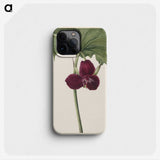2-49_Mary-Vaux-Walcott_phone