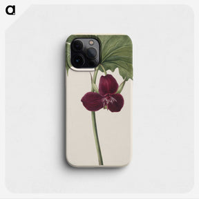 2-49_Mary-Vaux-Walcott_phone