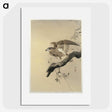 2-49_Ohara-Koson_picture