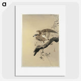 2-49_Ohara-Koson_picture