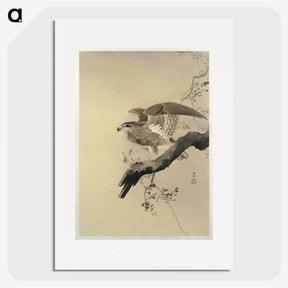 2-49_Ohara-Koson_picture