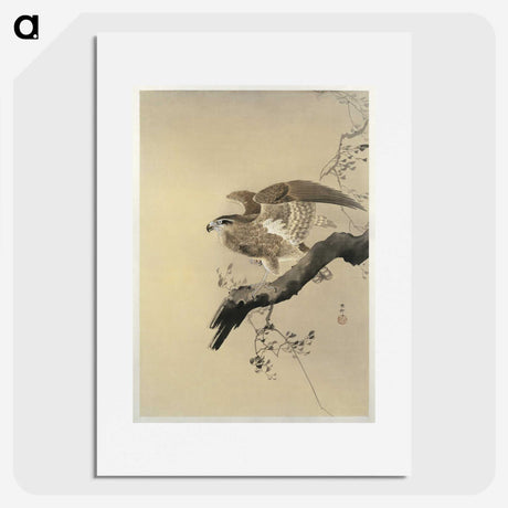 2-49_Ohara-Koson_picture