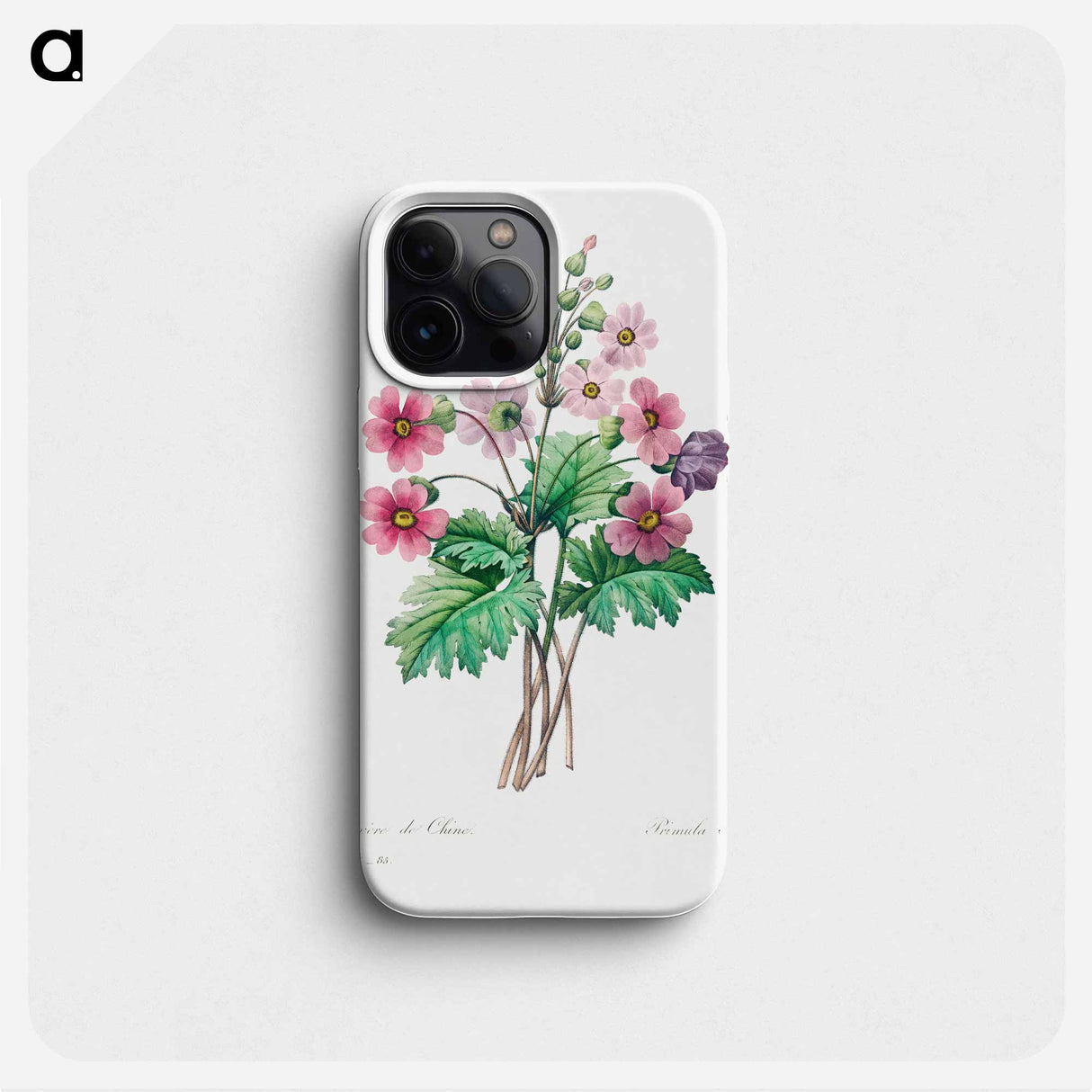 The Chinese primrose - ピエール ジョゼフ ルドゥーテ Phone Case.