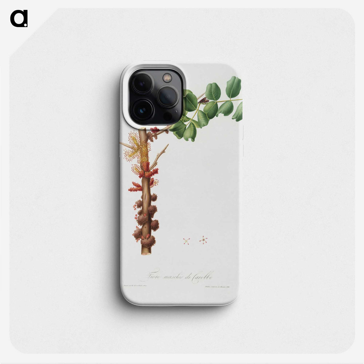 2-49_Pomona-Italiana_phone