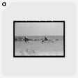 アートポストカード-Branding Calves
 - ラッセル リー Postcard.