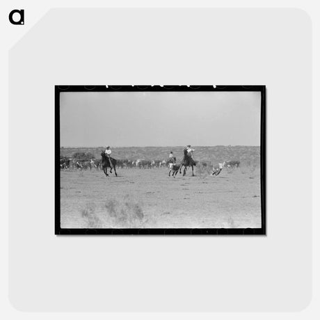 アートポストカード-Branding Calves
 - ラッセル リー Postcard.