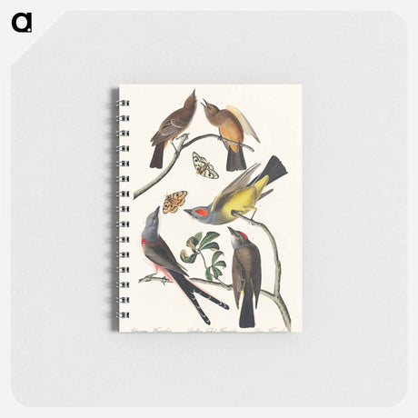 アートメモ帳-Arkansaw Flycatcher, Swallow-Tailed Flycatcher and Says Flycatcher from Birds of America
 - アメリカの鳥たち Memo.
