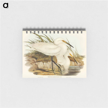 アートメモ帳-Spotless Egret
 - オーストラリアの鳥 Memo.