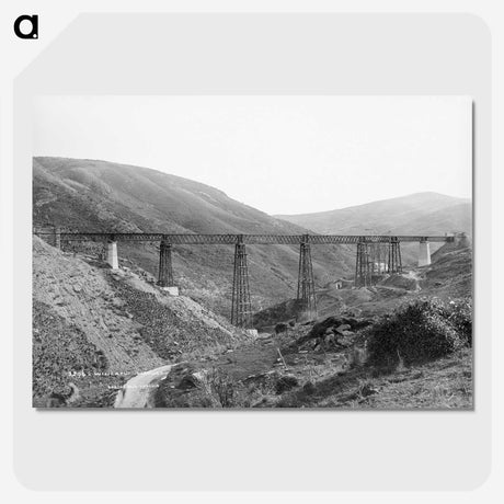 2-49_The-Burton-Brothers_picture-crop