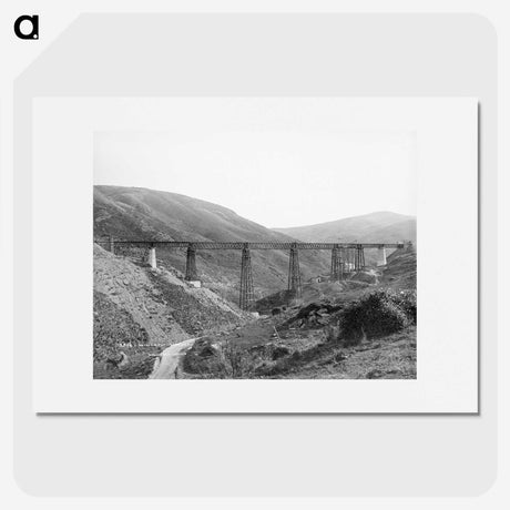 2-49_The-Burton-Brothers_picture