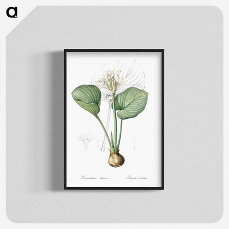 2-49_The-Lilies_blk-crop
