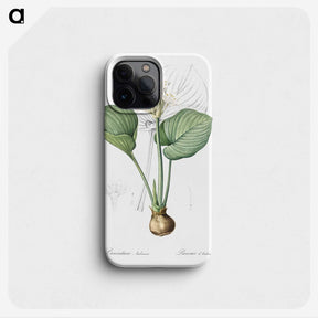 2-49_The-Lilies_phone