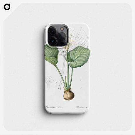 2-49_The-Lilies_phone