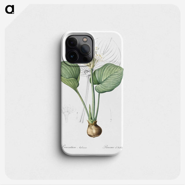 2-49_The-Lilies_phone