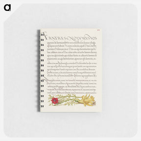 アートメモ帳-Pheasant's Eye and Buttercup from Mira Calligraphiae Monumenta
 - 書道のお手本 Memo.