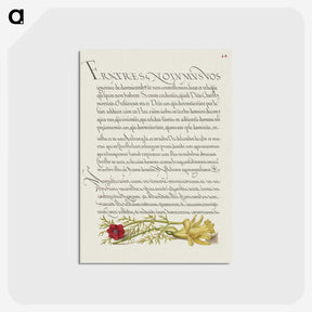 2-49_The-Model-Book-of-Calligraphy_postcard