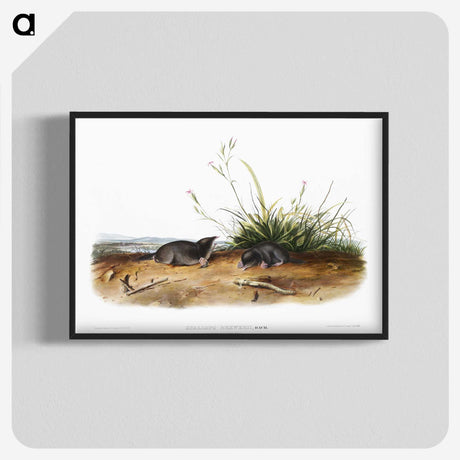 2-49_The-Viviparous-Quadrupeds_blk-crop