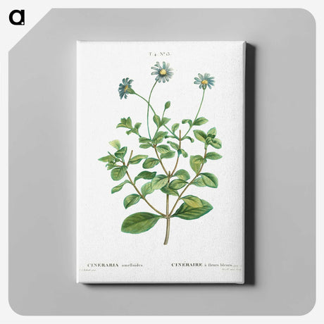 2-49_Treatise-on-Trees-and-Shrubs_canvas