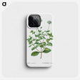 2-49_Treatise-on-Trees-and-Shrubs_phone