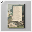 2-49_William-Blake_canvas