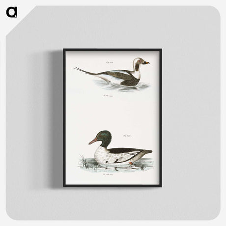 2-49_Zoology-of-New-York_blk-crop