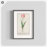 2-4_Anselmus-Boetius-de-Boodt_blk
