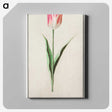 2-4_Anselmus-Boetius-de-Boodt_canvas