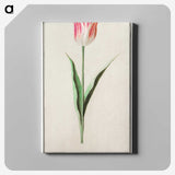 2-4_Anselmus-Boetius-de-Boodt_canvas