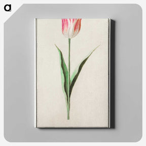 2-4_Anselmus-Boetius-de-Boodt_canvas