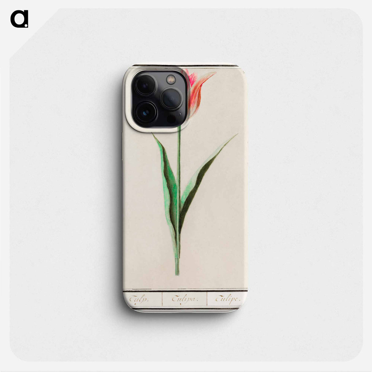 Tulip - アンセルムス ボエティウス デ ブート Phone Case.