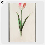 2-4_Anselmus-Boetius-de-Boodt_picture-crop