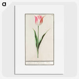2-4_Anselmus-Boetius-de-Boodt_picture