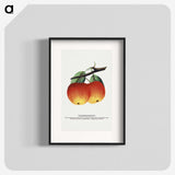 2-4_Botanical-Specimen-Plates_blk