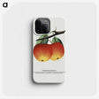 2-4_Botanical-Specimen-Plates_phone