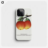 2-4_Botanical-Specimen-Plates_phone