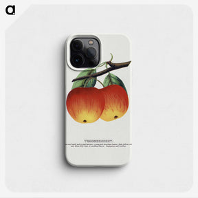 2-4_Botanical-Specimen-Plates_phone