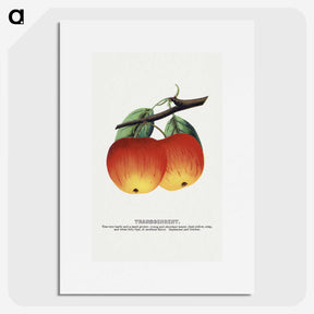 2-4_Botanical-Specimen-Plates_picture