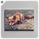 2-4_COVID-19_canvas
