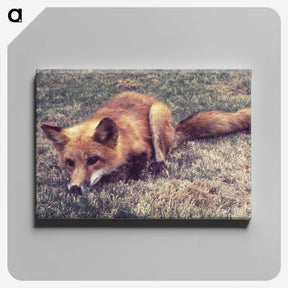 2-4_COVID-19_canvas